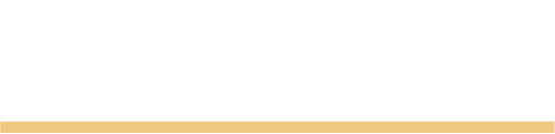 中古車を探す