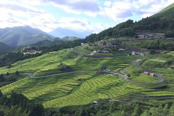 丸山千枚田