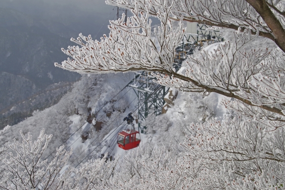 御在所岳山上公園