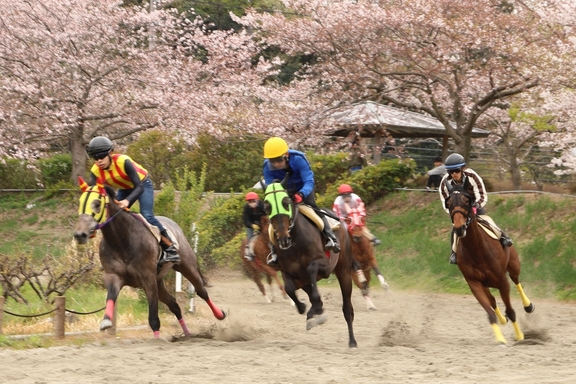 みぞのアイリスパーク馬場