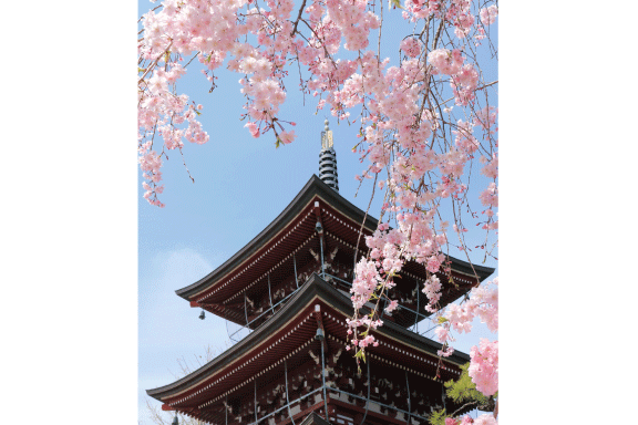 子安観音寺の三重の塔