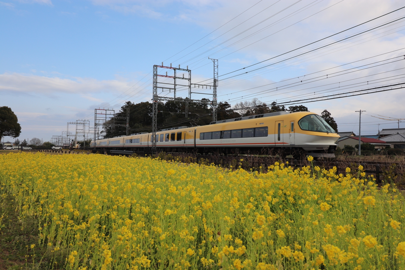 菜の花畑と伊勢志摩ライナー