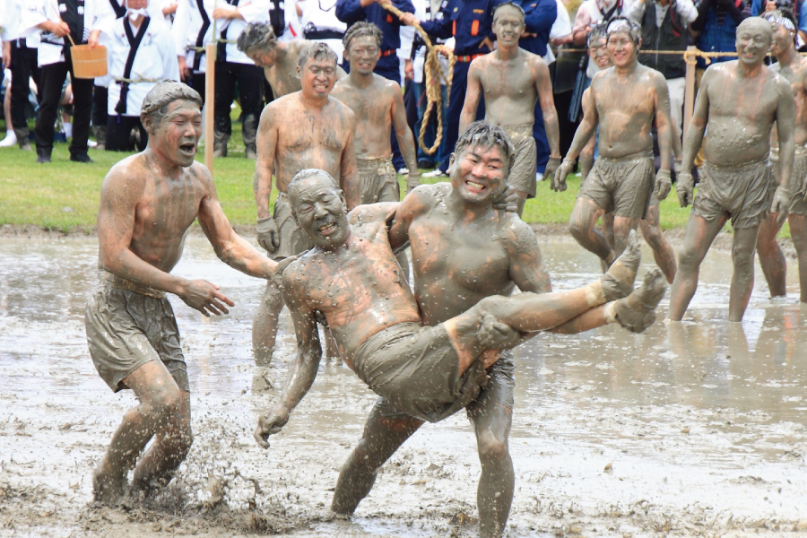 伊雑宮御田植祭