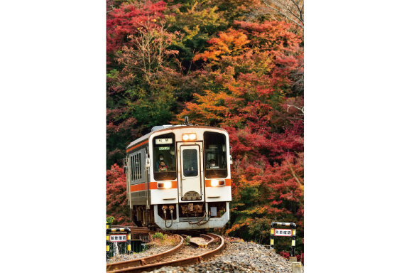 名松線沿いの紅葉