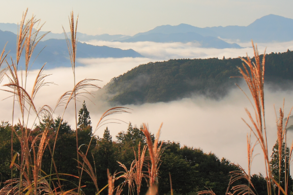 青山高原の雲海