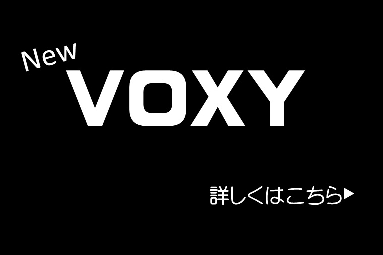 VOXY