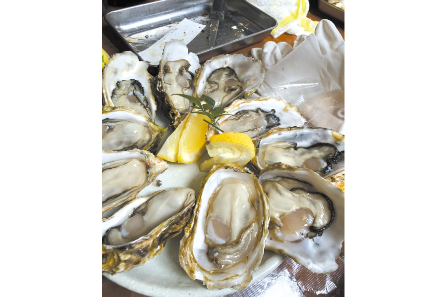 生牡蠣を食べに