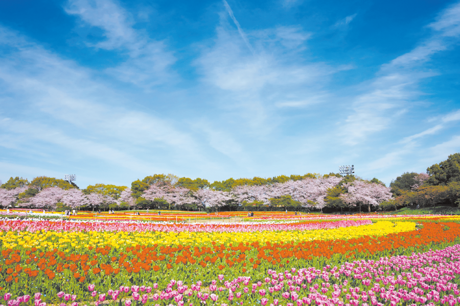 なばなの里