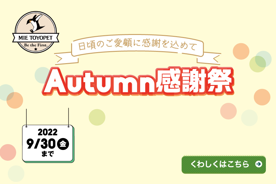 Autumn感謝祭