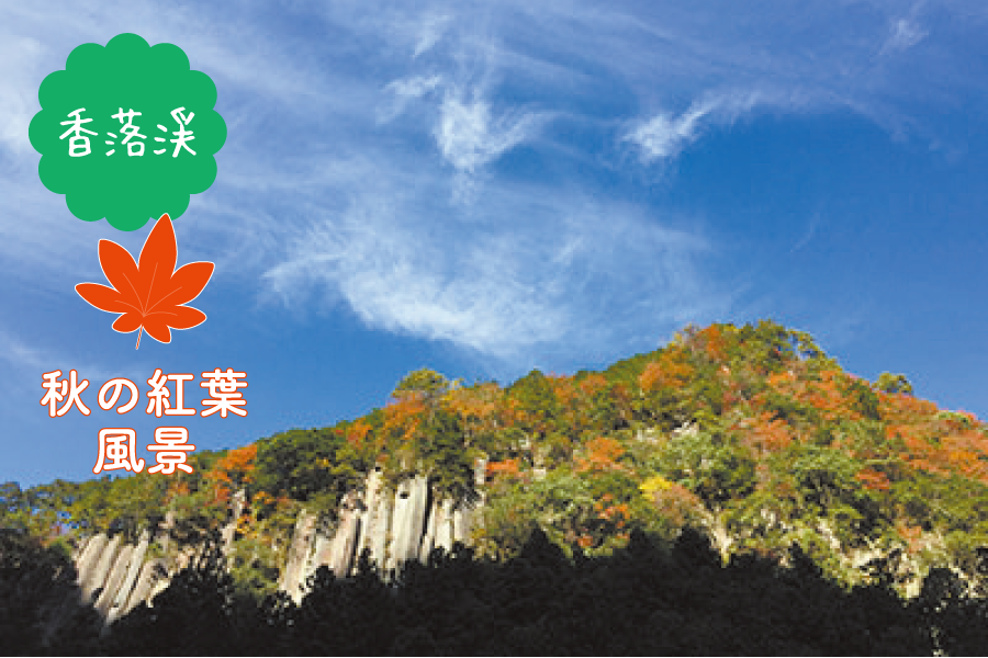青蓮寺ダム
