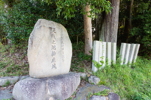 柏原城は、高善山(竜神山)の北西にあたる丘陵地にあり、本丸は、高い四方土塁に囲まれ、その南に入り口が設けられている。 東隅に「