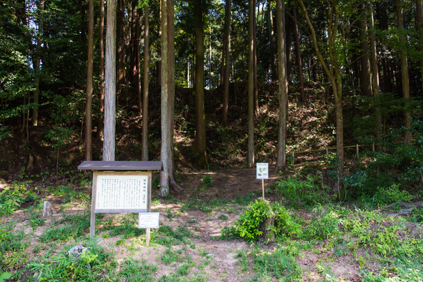 柏原城