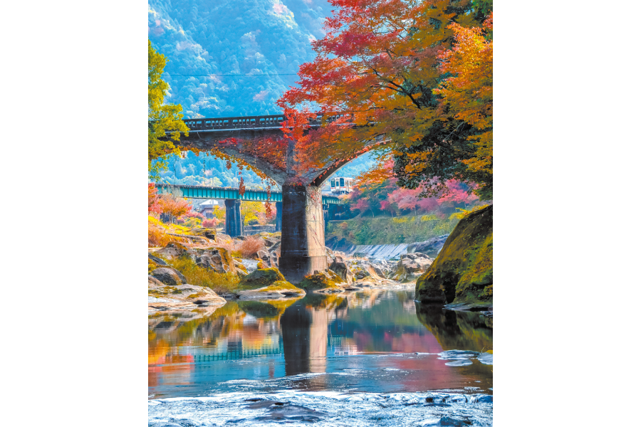 白山町南家城の二雲橋