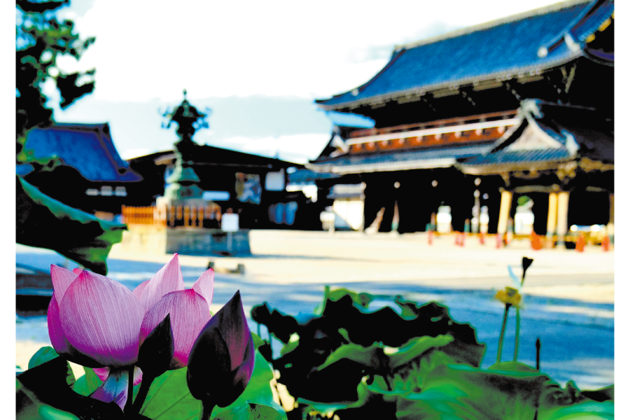 高田本山専修寺境内