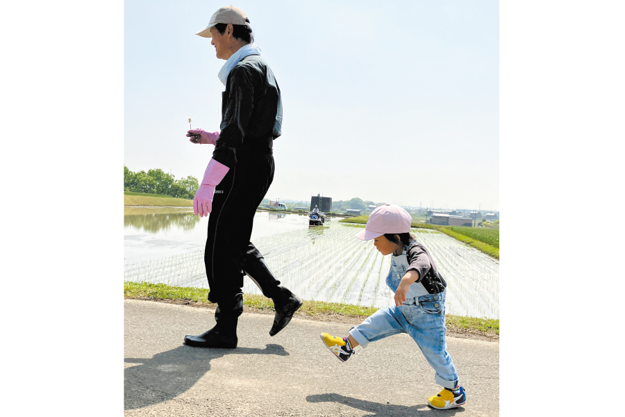 田植え