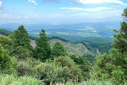 青山高原２