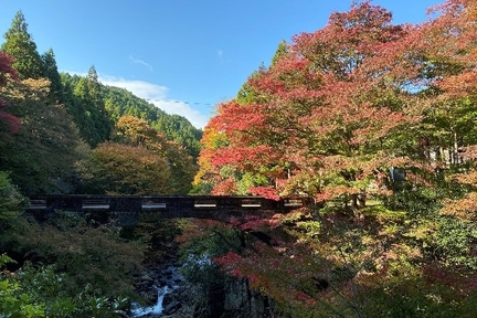 秋の紅葉３