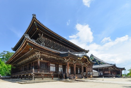 高田本山１