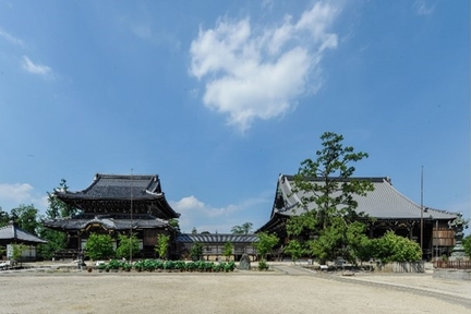 高田本山