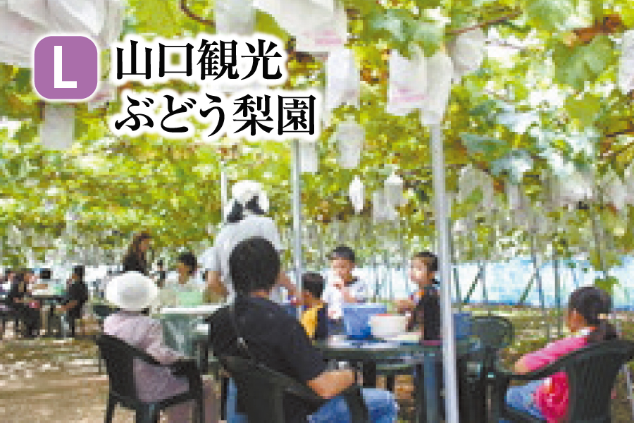 山口観光