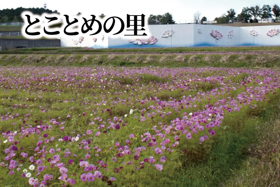 とことめの里