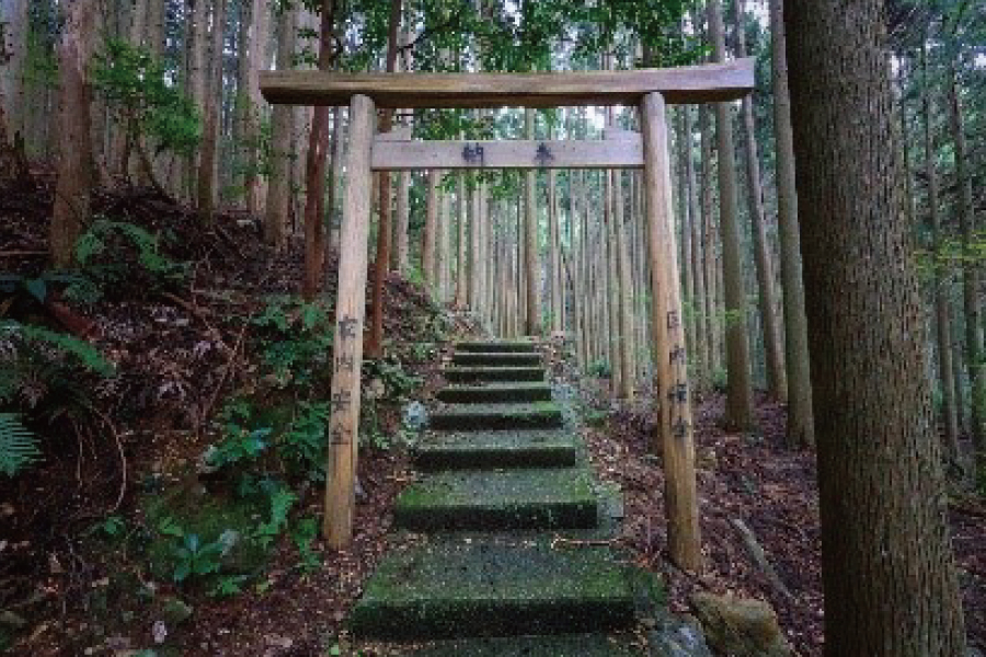 F押渕の滝3