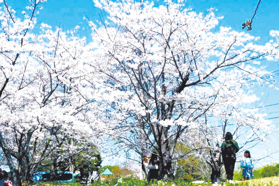 石垣池公園