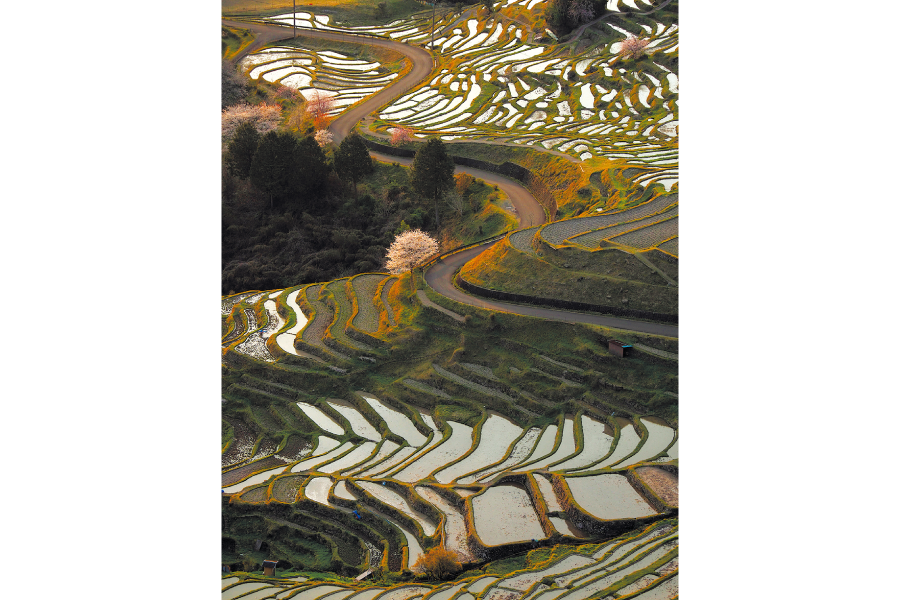 丸山千枚田