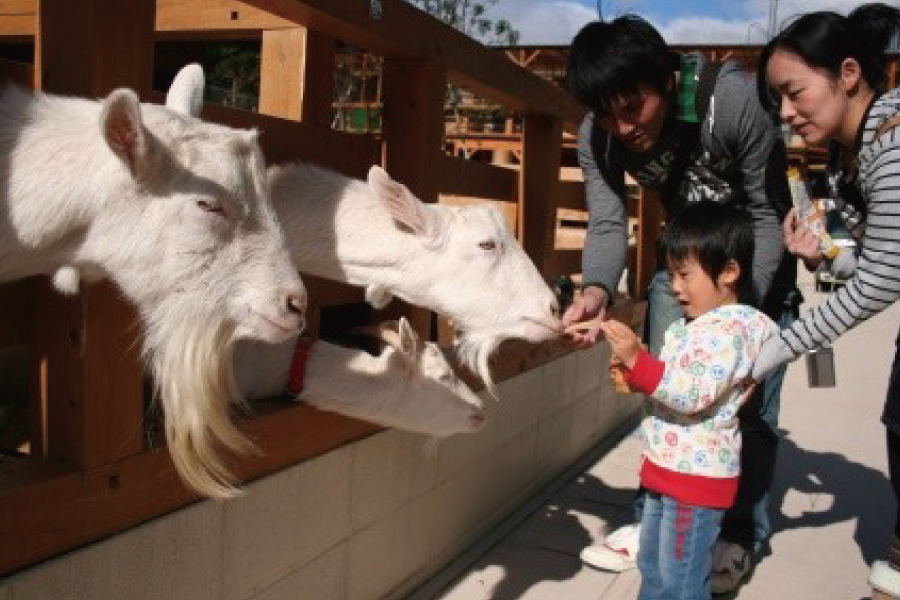 動物園②-1
