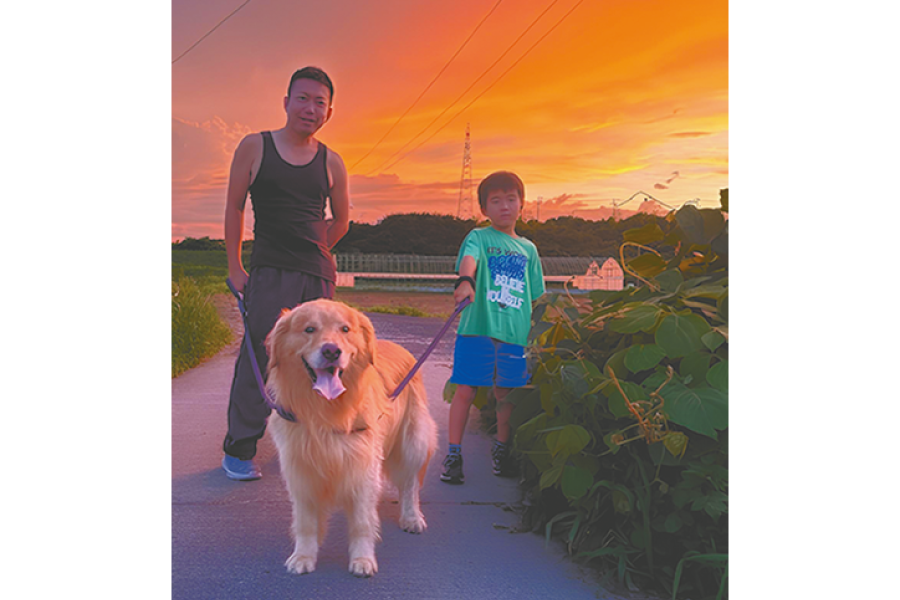 犬