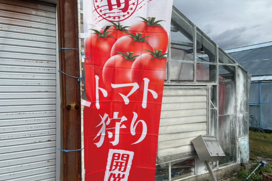 Cくらもとファーム③トマト狩り